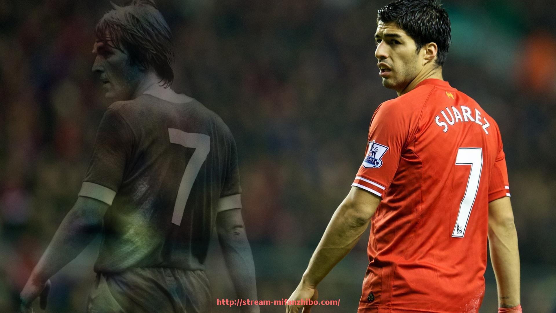 秘饭直播-昆明舒华健身器材直营店地址与产品