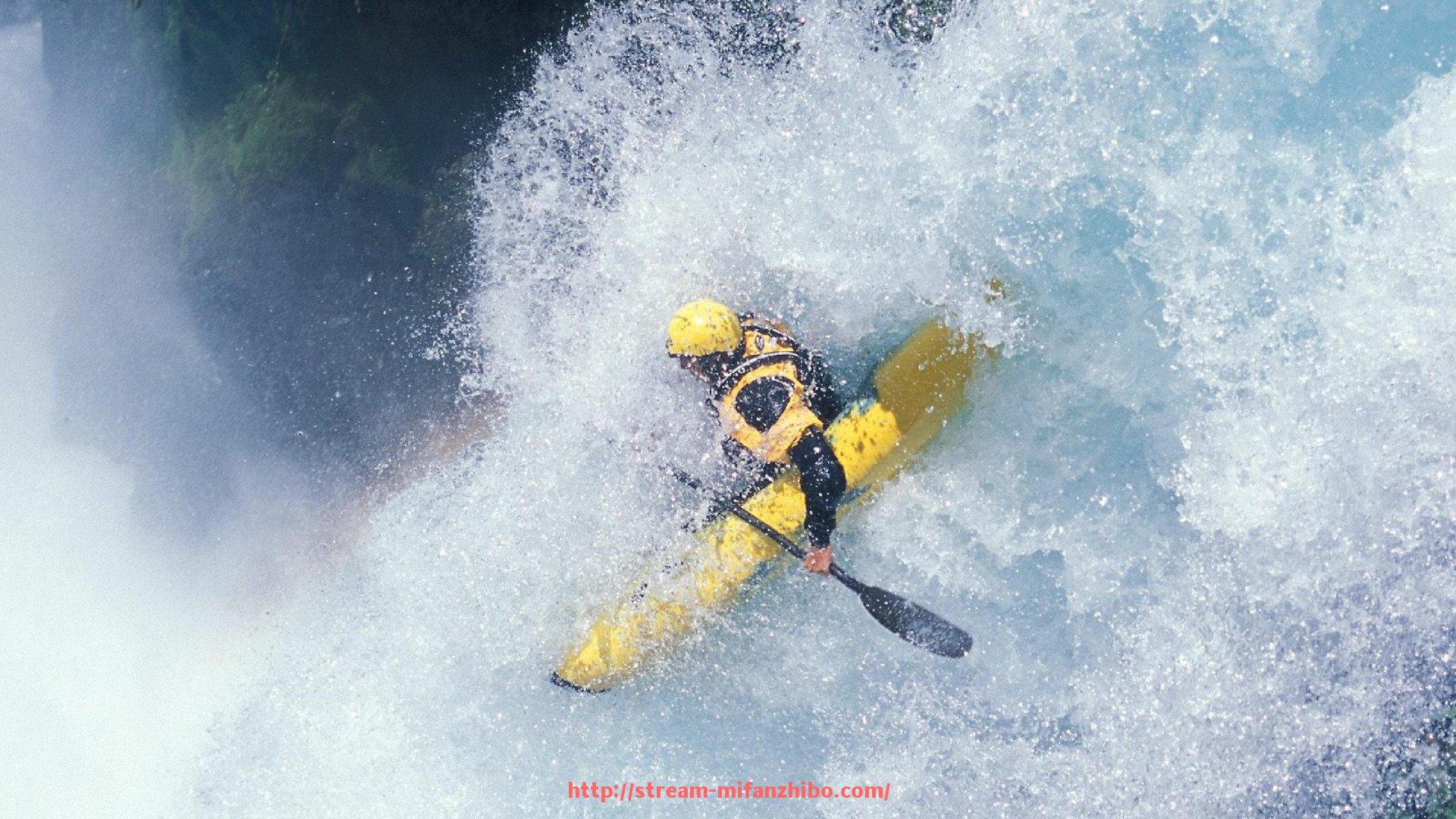 秘饭直播-伸展手臂健身器材推荐及锻炼效果分析